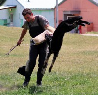 /album/jolly-girmido/img-8222-jpg/