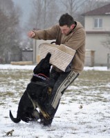 /album/jolly-girmido/dsc0047-jpg/