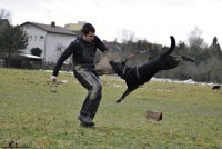 /album/jolly-girmido/dsc0249-jpg/