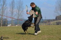 /album/jolly-girmido/dsc-0294-jpg/