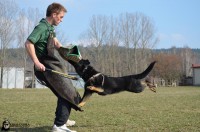 /album/jolly-girmido/dsc-0305-jpg/