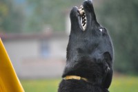 /album/jolly-girmido/dsc-9575-jpg/