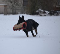 /album/jolly-girmido/dsc-0356-jpg/