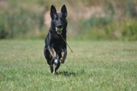 /album/jolly-girmido/a10580052-528777837223876-2934547929245897184-n-jpg/