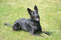 /album/jolly-girmido/a10603643-528777617223898-5871306706004460913-n-jpg/