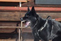 /album/reggi-girmido/a50023950-2097446243632260-7772887973846056960-n-jpg/