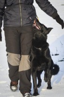 /album/reggi-girmido/a50636698-2097451886965029-3562899199957663744-n-jpg/