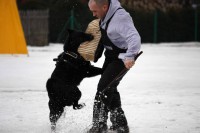 /album/reggi-girmido/a51742066-2118792294830988-7615094405854134272-n-jpg/