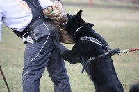 /album/reggi-girmido/a53690291-2179458625431021-7485753505844559872-n-jpg/