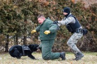 /album/reggi-girmido/271759215-4790809440962580-8864220348472497951-n-jpg/