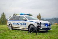 /album/reggi-girmido/315632398-5701108903265958-5297563936963957043-n-jpg/