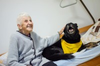 /album/jolly-girmido/269702202-4710730678970457-8819375318845152009-n-jpg/